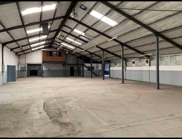 1,200M² FACTORY TO LET IN ELSIES RIVER INDUSTRIAL
